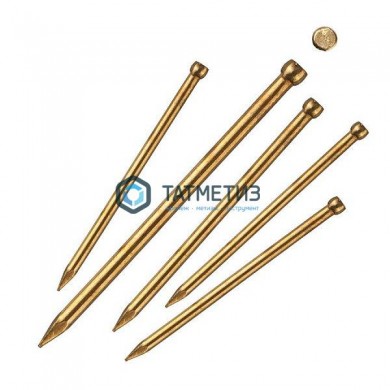 Гвозди NFL-LU 1,2х30 латун (5 кг) | «ТАТМЕТИЗ» Гвозди NFL-LU 1,2х30 латун (5 кг) - магазин крепежа «ТАТМЕТИЗ»